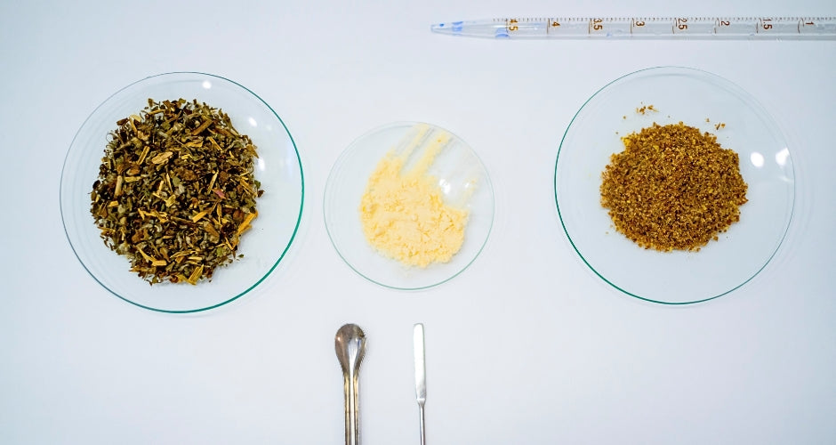 Innovación y Sostenibilidad: Los nuevos horizontes de La Marihuela con el apoyo de la Dirección General de Turismo, Comercio y Artesanía