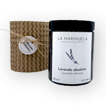 Vela de Lavanda | Colección Botánica | Relajante y Natural