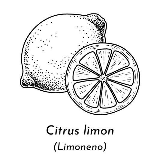 Aceite esencial limon ECO (Citrus limon)