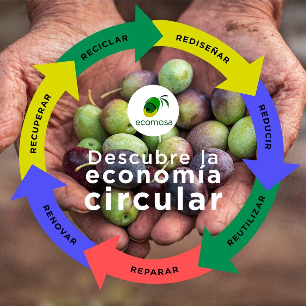Circular economy in the olive grove